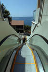 Belvedere 